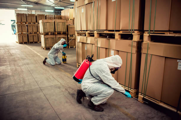 Best Bed Bug Extermination  in Bohners Lake, WI