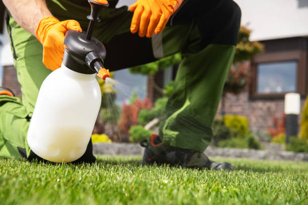 Best Pest Prevention Services  in Bohners Lake, WI