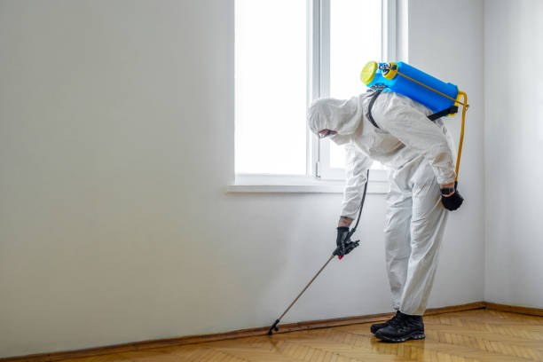 Pest Prevention Services in Bohners Lake, WI