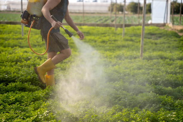 Best Local Pest Control Services  in Bohners Lake, WI