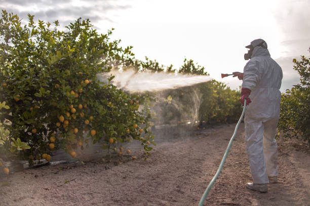 Best Pest Control Cost  in Bohners Lake, WI