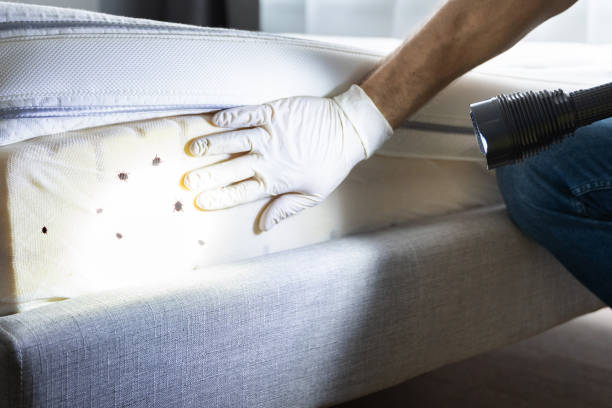 Professional Pest Control in Bohners Lake, WI