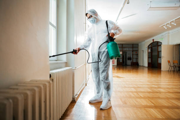 Best Flea Control Services  in Bohners Lake, WI