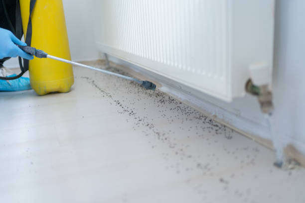 Best Exterminator Services  in Bohners Lake, WI