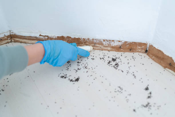 Best Pest Control for Restaurants  in Bohners Lake, WI