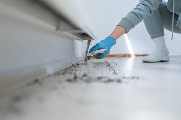 Best Pest Inspection Near Me  in Bohners Lake, WI