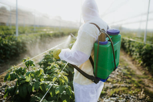 Best Affordable Pest Control Services  in Bohners Lake, WI